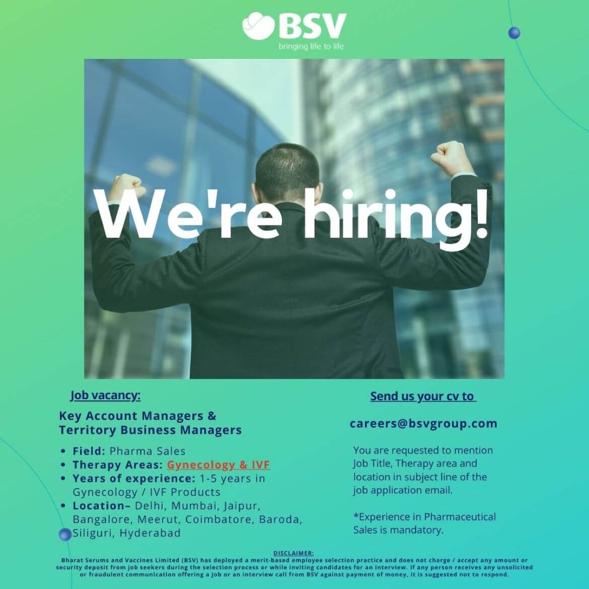 BSV Group