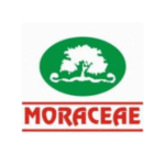Moraceae Pharma