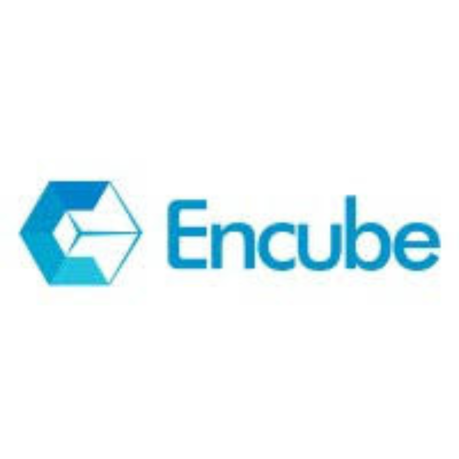 Encube Ethicals