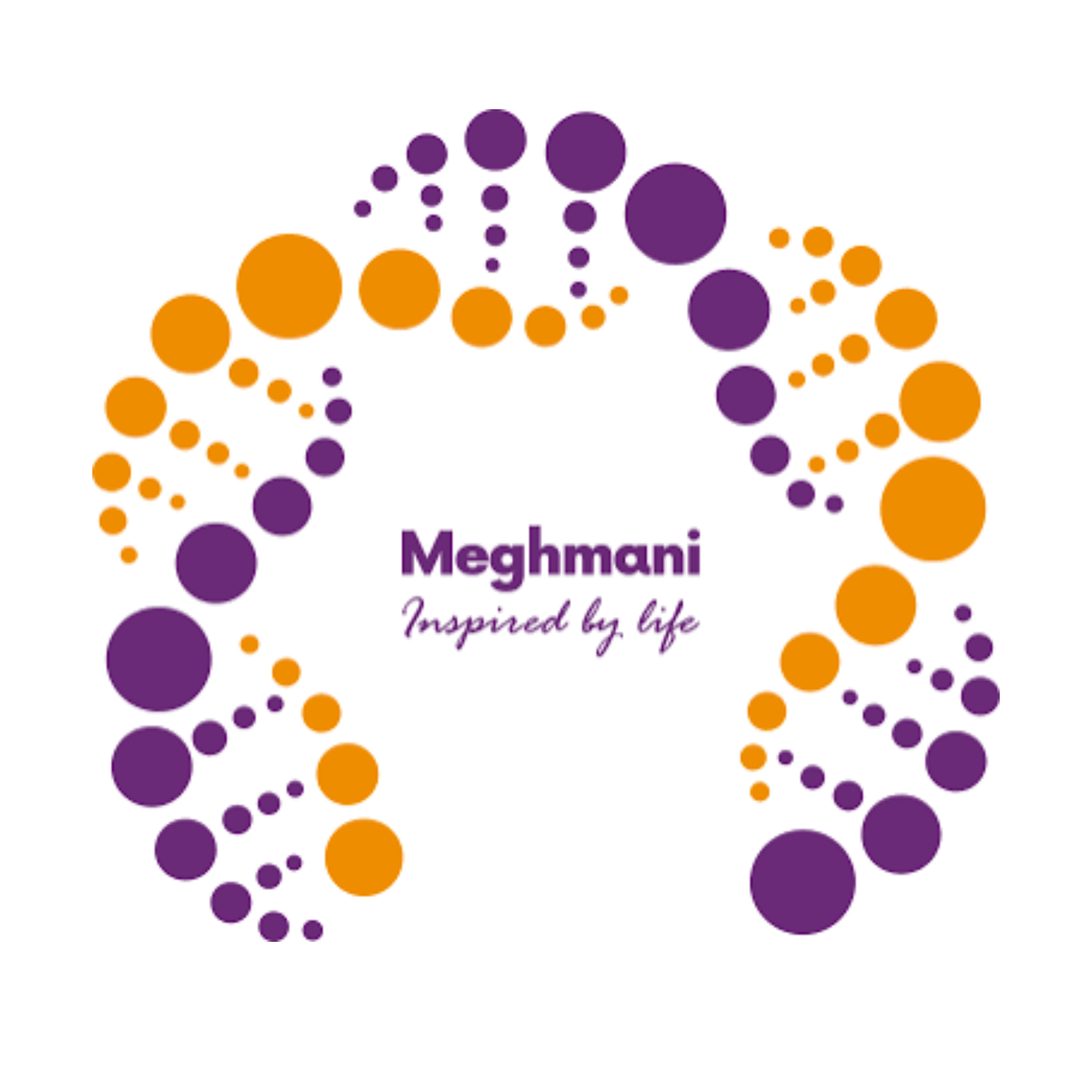 meghmani Lifesciences Ltd