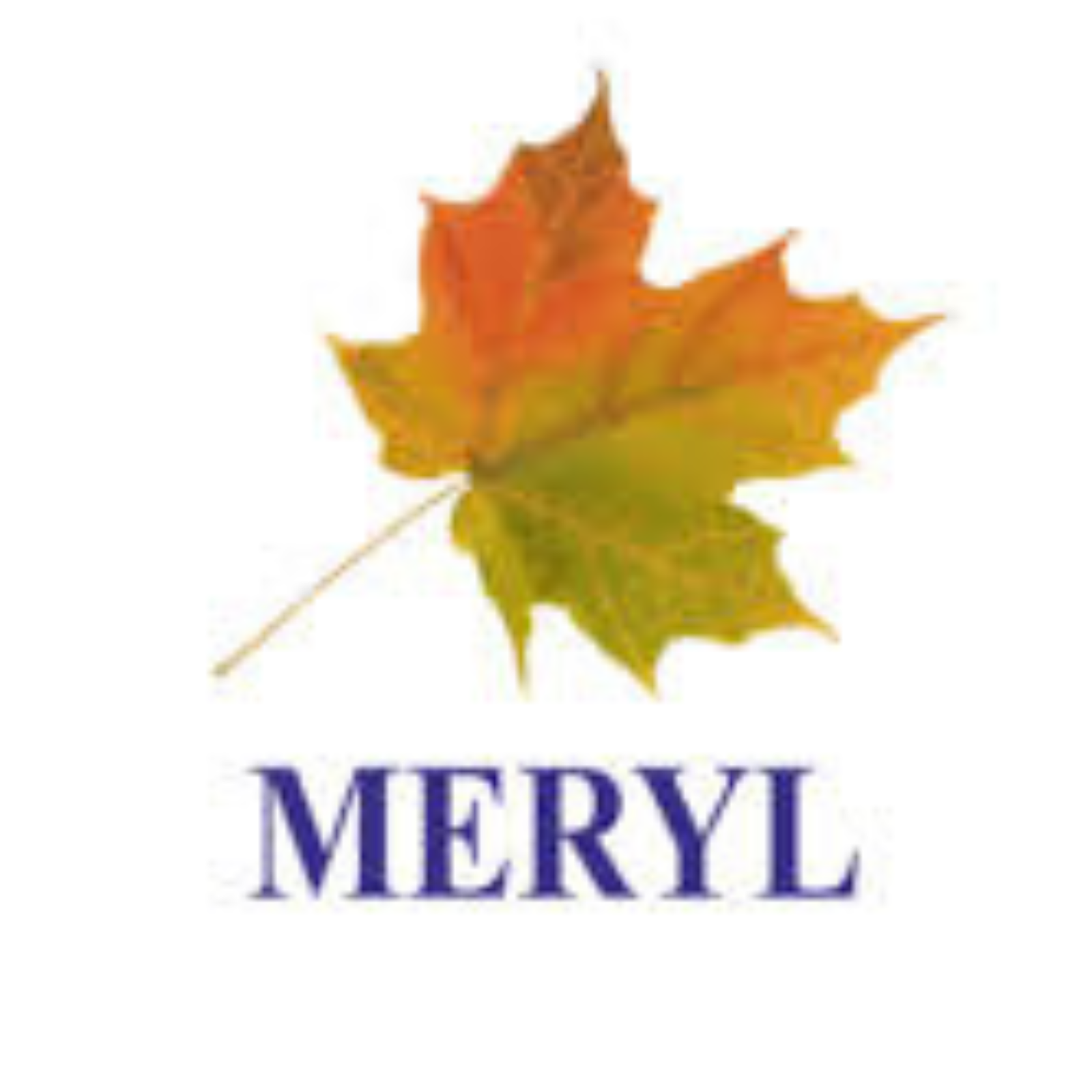 t n sys meryl pharma